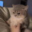 Yasam_Marmeladov