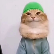 123