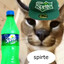 Drink Sprite