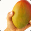 TheMango