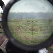 蝙蝠侠大战羊腰子