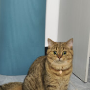 可乐瓶固定赢对100+-