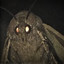 1 floppy moth boi