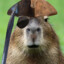 Cap. Capybara