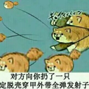 脱壳尾翼稳定穿甲狗