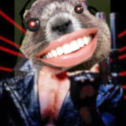 Аищад амежи