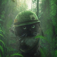 Steam Avatar