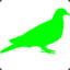 Green Pigeon