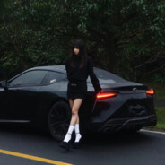 向日葵是太阳花