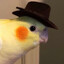 Steam avatar