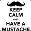 TheMustache