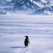 Big Daddy Kaptein Sabeltann