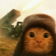 正在偷吃电弧星