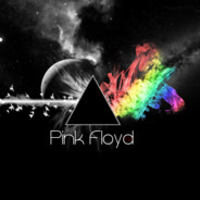 我能把电池插在你的哨兵里面吗