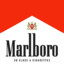 marlboro gold