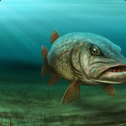 k0irank0ppi - steam id 76561197963263009