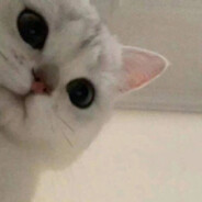 温柔的火爆辣椒