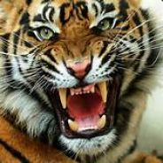 The_Killer_Tiger