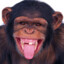 Stupid_Monkey