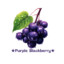 ★Purple_Blackberry★
