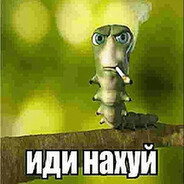 новая гойда 2026