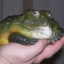 pierdooN`ho