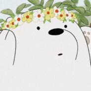 Ice Bear