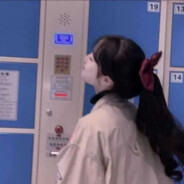 伯乐送快递，先马后寄