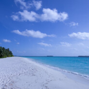 盗号的真的似个🐎🐎