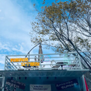 轻揉慢捻抹复挑