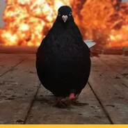 Курлык-Курлыкови