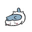 y.uhn