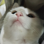 TUANNNNNNNNNNNNNNNNNNNNNNNNNNNNN