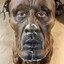 Dre Dog