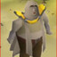 Gimp