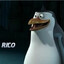 RICO