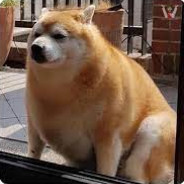 Mr. Chonk