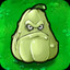 SQUASH