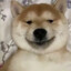 俺累了