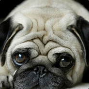 独臂神尼在房里悄悄地打Dota