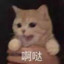 邱豆麻袋