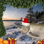 ЭХО БОЧКА УНИТАЗА