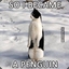 A penguin21