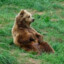 wojtek