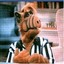 alf.master