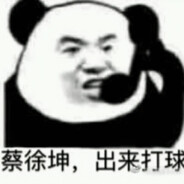 你打球像蔡徐坤