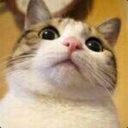 归零(ﾟДﾟ≡ﾟдﾟ)!?