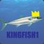 kingfish1