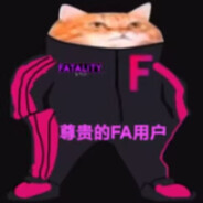 fatality大爹