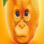 Satsumas Monkey